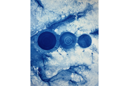 Graphein 14 (2019) | edition of 3 | 50 x 40 cm | cyanotype on paper
