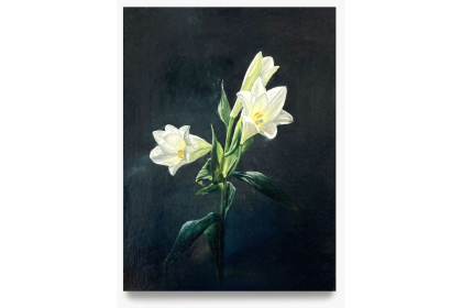 Lily II (2025) | 43 x 33 cm | Oil on canvas (framed)
