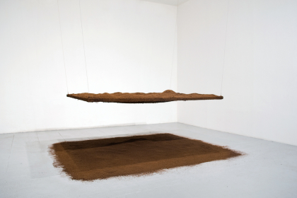 Négociation 34 - Porter surface (2011) | 100 x 170 x 130 cm | wood, metal cocos, peat of cocos