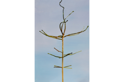 Picea abies #1 (2019) | 90 x 60 cm | oil on canvas