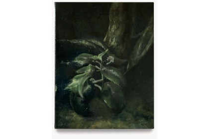 Plantstudy II (2023) | 43 x 33 cm | Oil on canvas (framed)