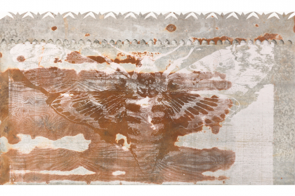 Polilla (Death's Head Hawkmot) (2021) | 117 x 200 x 10 cm | woodcut on paper on galvanized steel sheet - wood - LED-lighting
