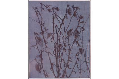 Tatarnik #1 (2021) | 128 x 100 cm | woodcut on paper on wood in metal frame